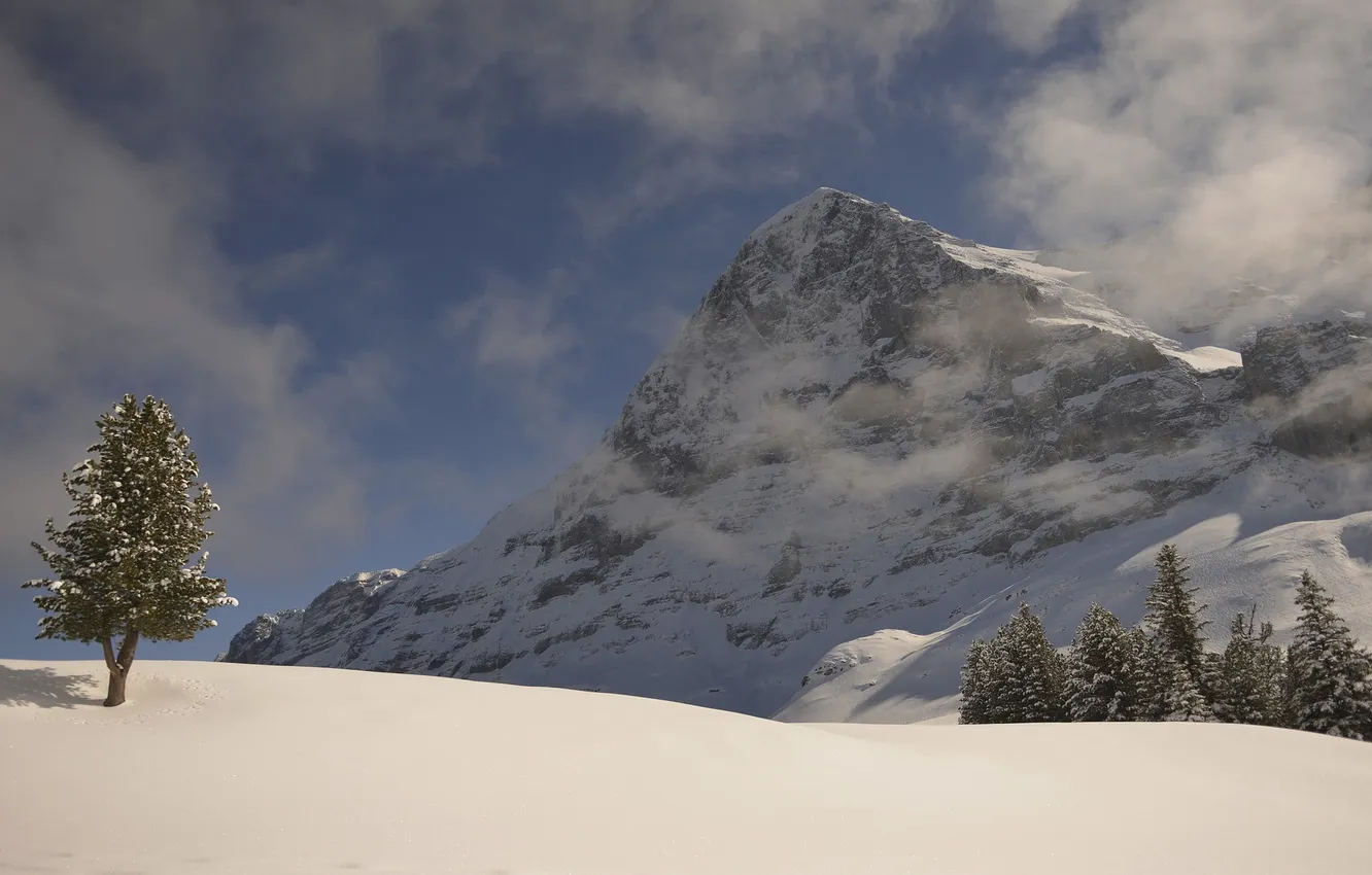 Photo wallpaper winter, the sky, snow, trees, mountains, slope
