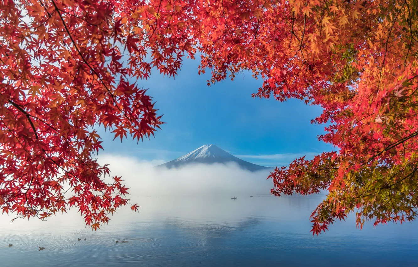 Photo wallpaper autumn, leaves, trees, lake, mountain, Fuji, trees, autumn
