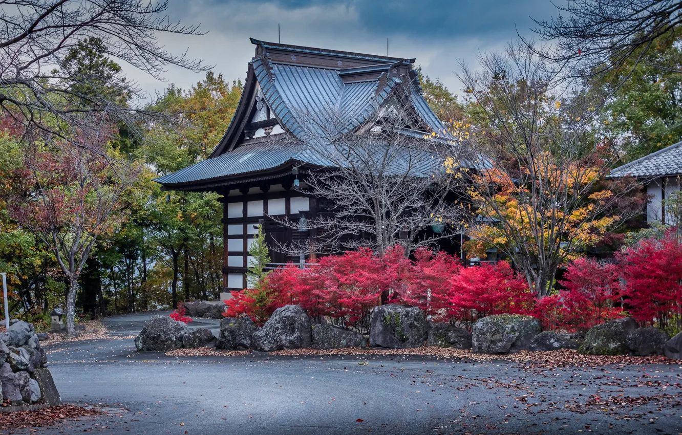 Photo wallpaper road, autumn, trees, design, stones, home, Japan, the bushes
