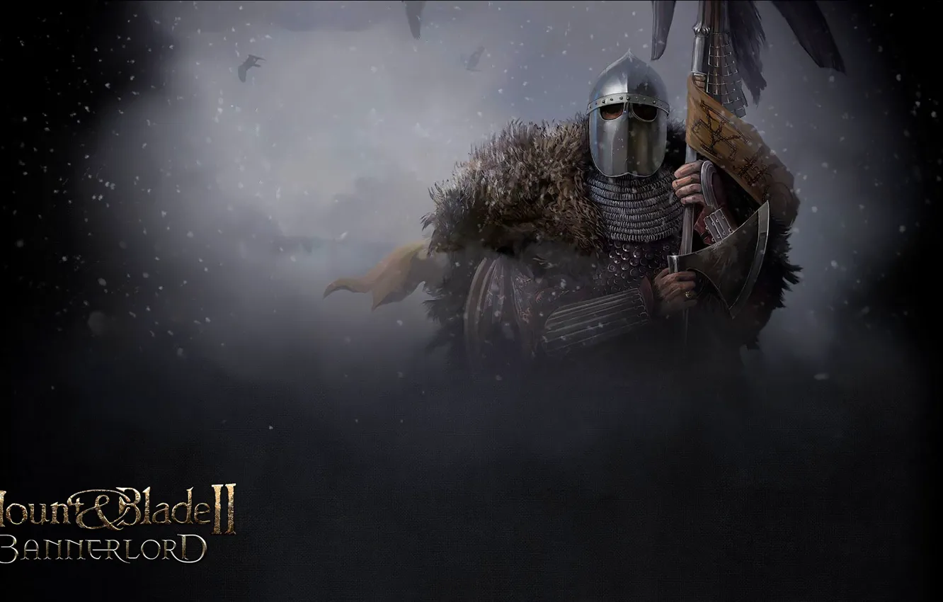 Photo wallpaper weapons, armor, warrior, art, art, Bannerlord, Mount and Blade 2, Mount Andes blood 2