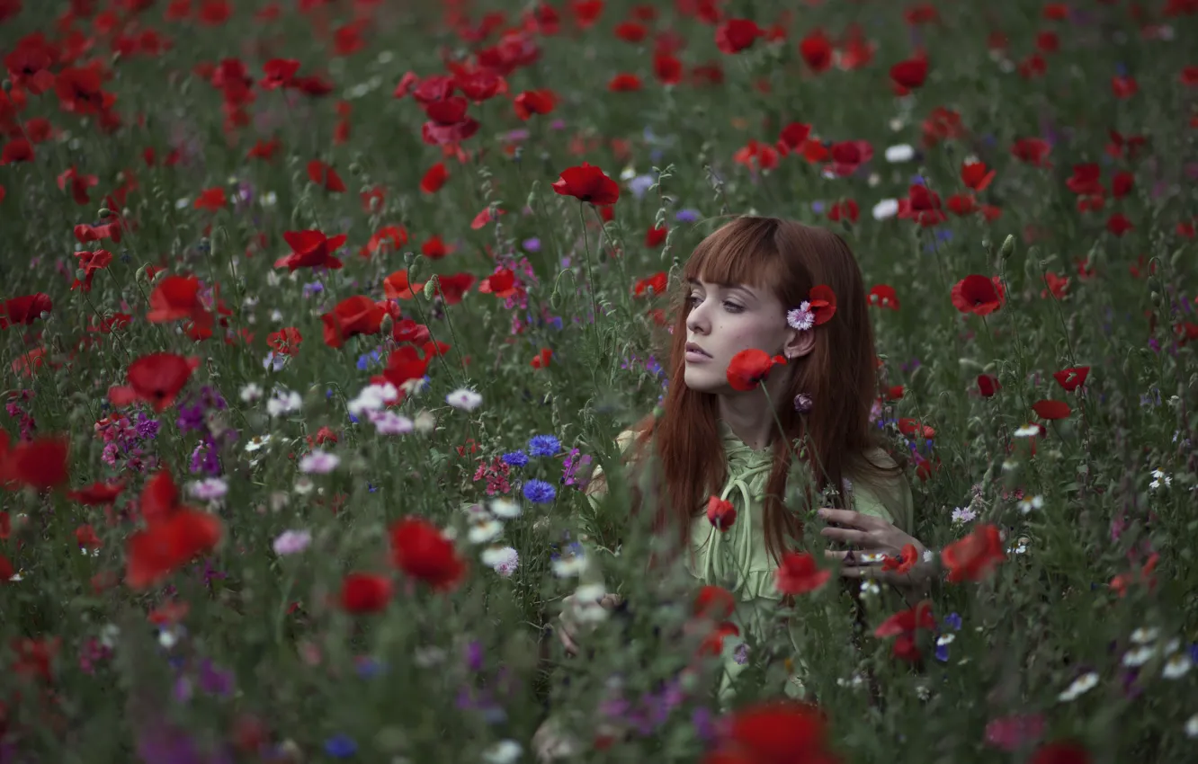 Photo wallpaper girl, field, flowers, poppies