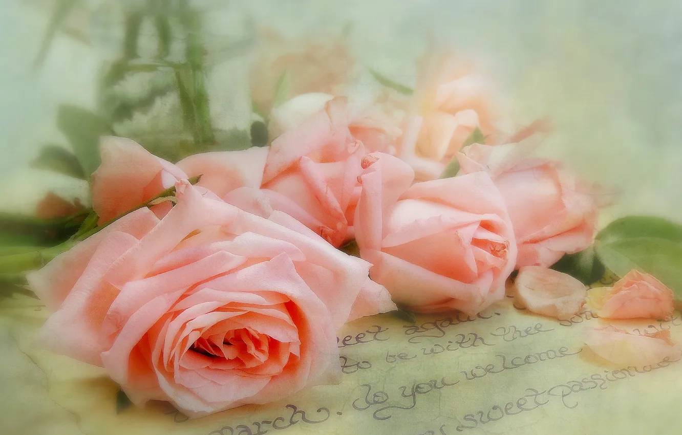 Photo wallpaper letter, style, tenderness, roses, petals