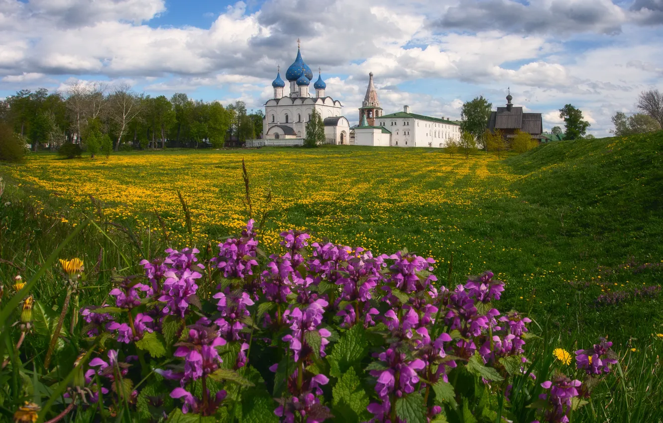 Photo wallpaper field, flowers, Church