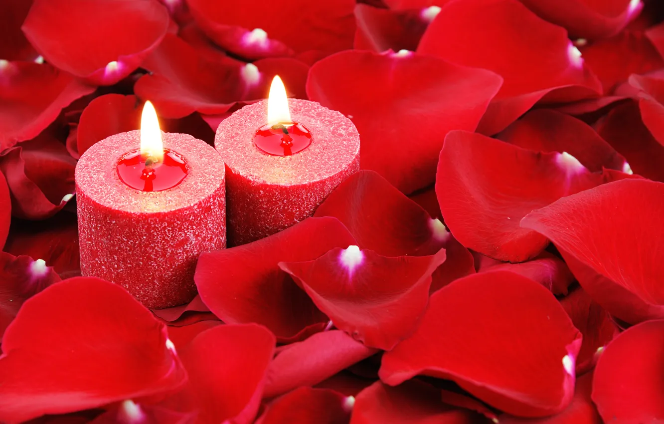 Photo wallpaper love, heart, roses, candles, petals, love, heart, romantic