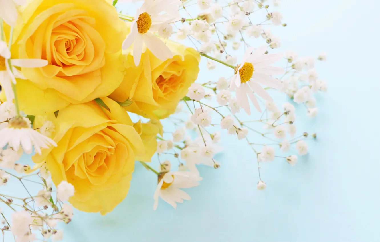 Photo wallpaper chamomile, bouquet, yellow roses