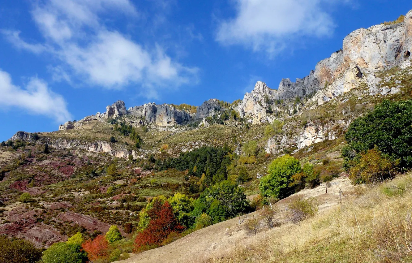 Photo wallpaper autumn, the sky, trees, mountains, slope