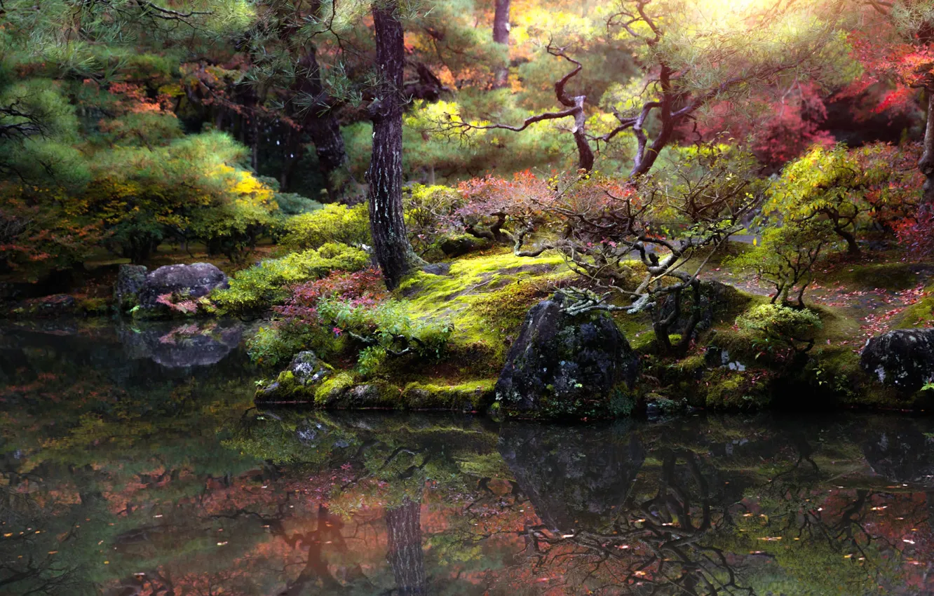 Photo wallpaper autumn, trees, landscape, nature, pond, Park, stones, Japan