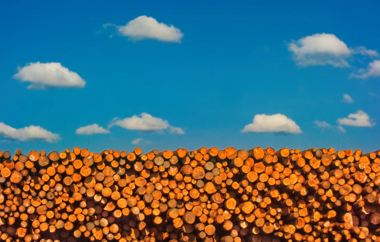 Photo wallpaper the sky, clouds, log
