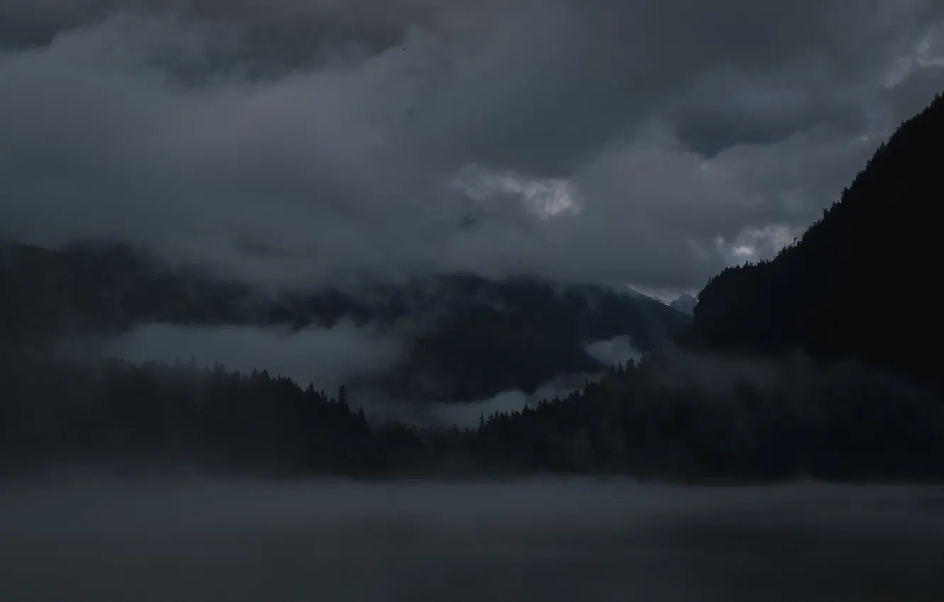 Photo wallpaper forest, the sky, clouds, trees, landscape, nature, fog, the darkness