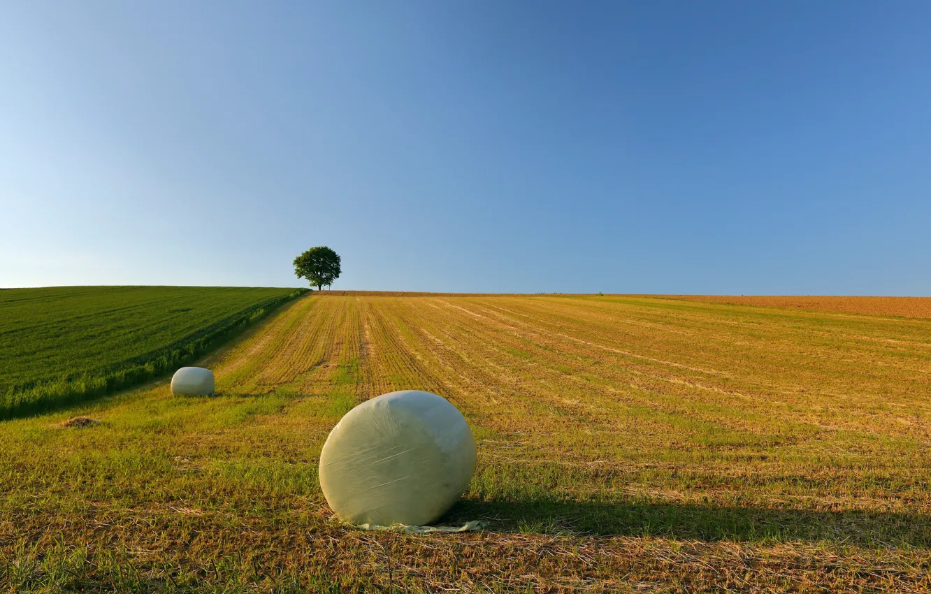 Photo wallpaper field, the sky, hay