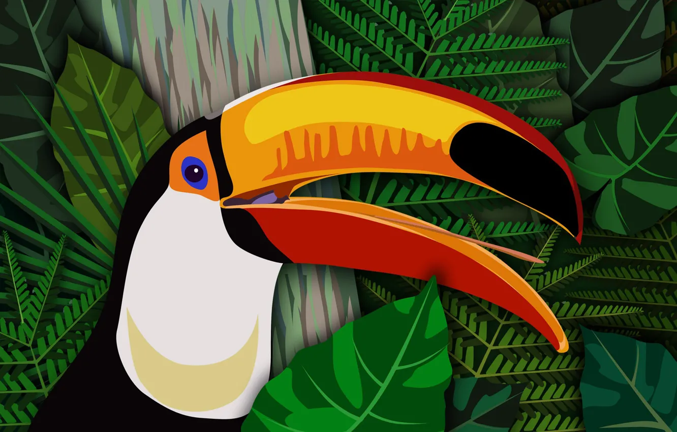 Photo wallpaper bird, vector, beak, Toucan