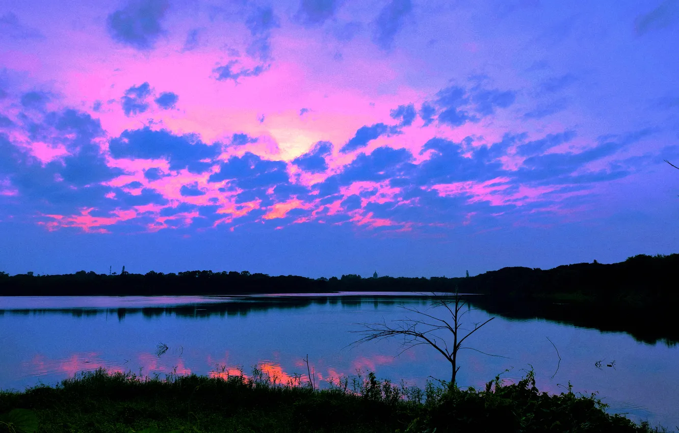 Photo wallpaper grass, sky, trees, water, lake, morning, sunrise, dawn