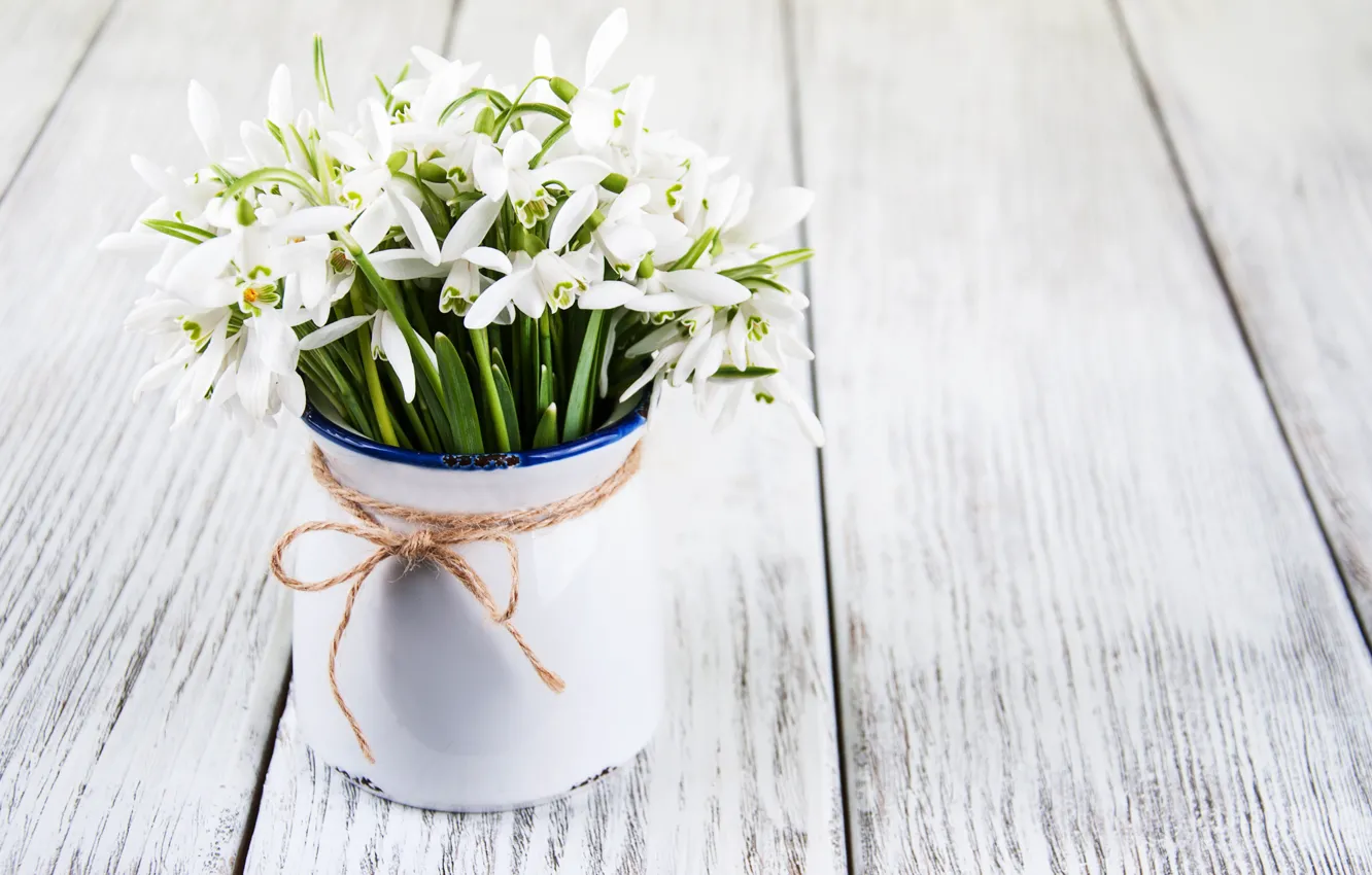 Photo wallpaper flowers, bouquet, snowdrops, white, white, flowers, spring, Snowdrops