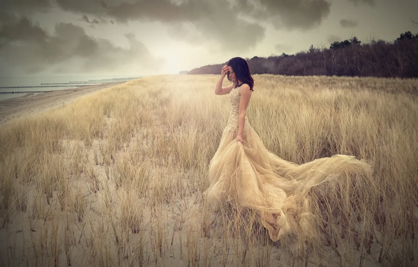 Photo wallpaper beach, grass, girl, the sun, clouds, shore, hair, dress