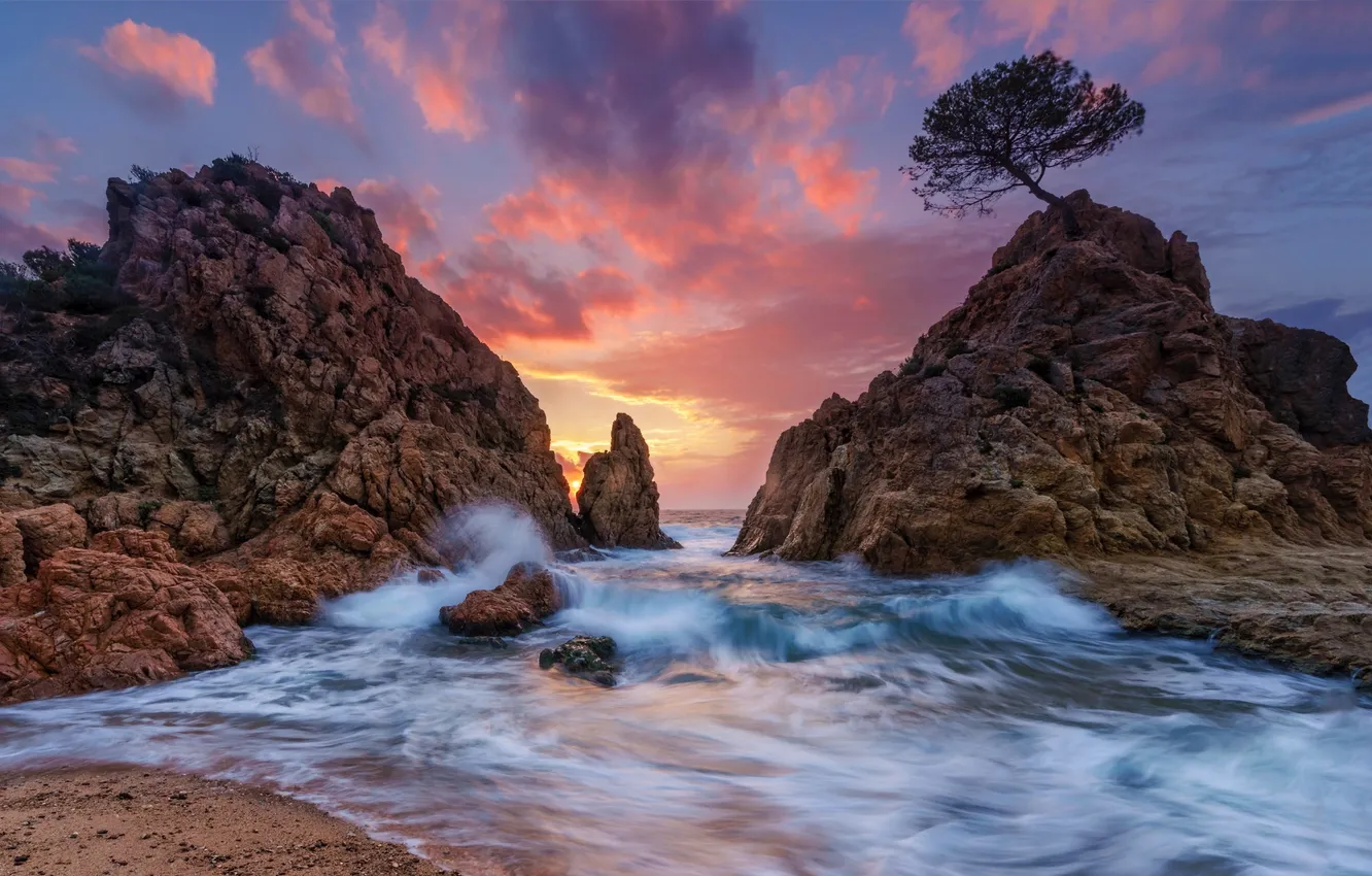 Photo wallpaper sea, wave, sunset, tree, rocks