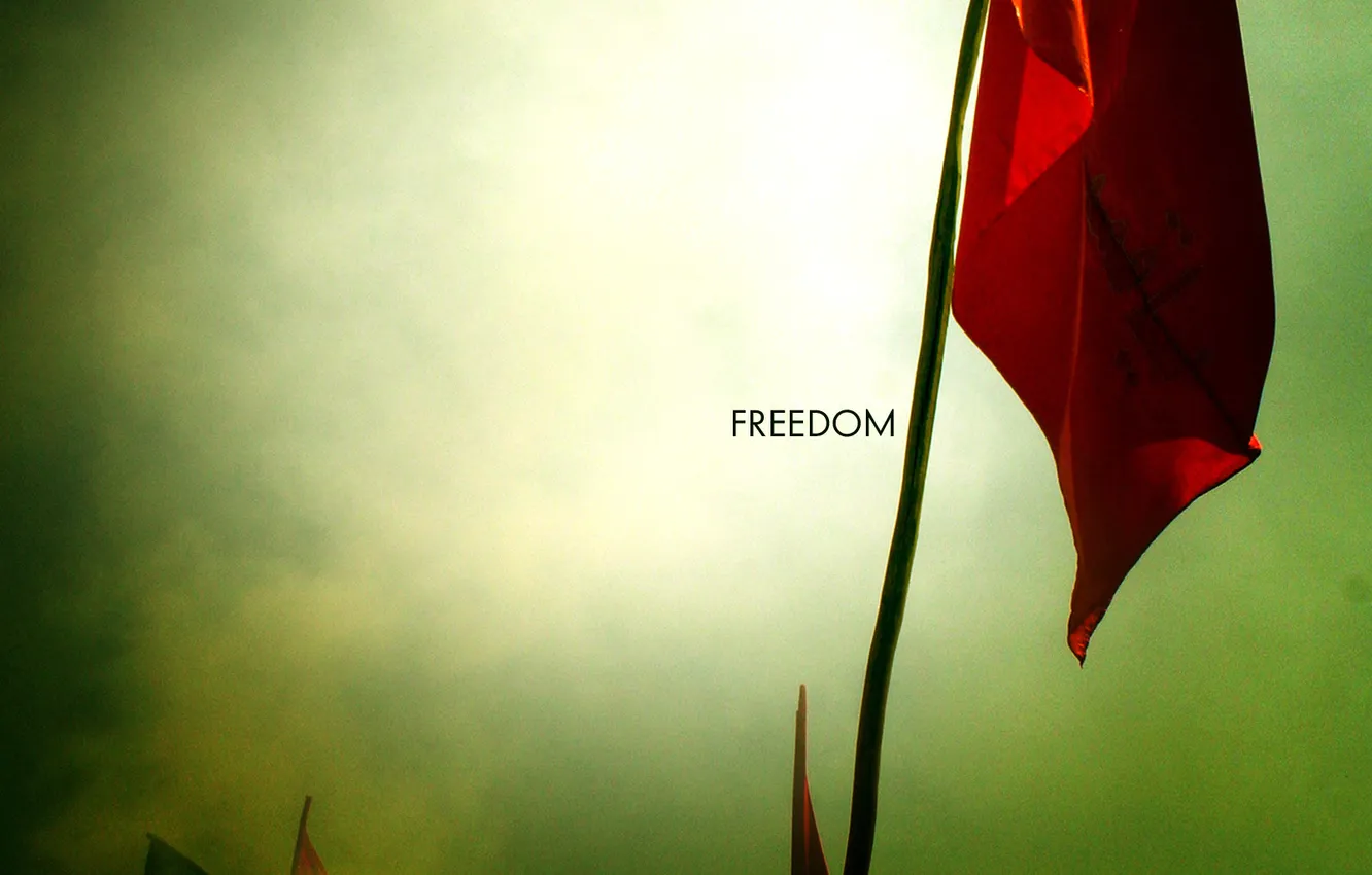 Photo wallpaper freedom, photo, background, mood, Wallpaper, flag, freedom, slogan