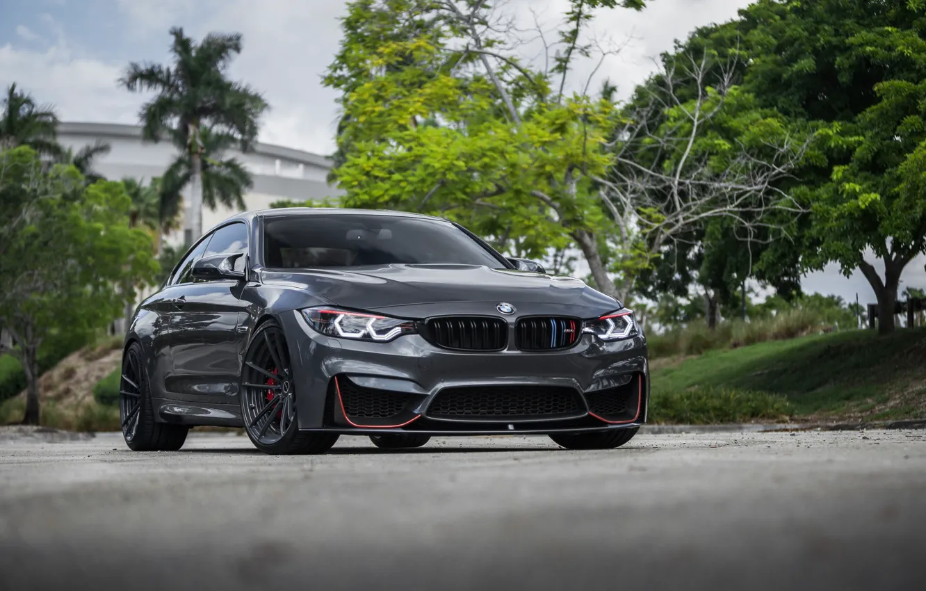 Photo wallpaper BMW, Gray, Sight, LED, F83