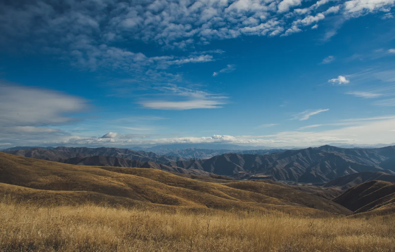 Photo wallpaper grass, freedom, clouds, mountains, space, space, grass, freedom