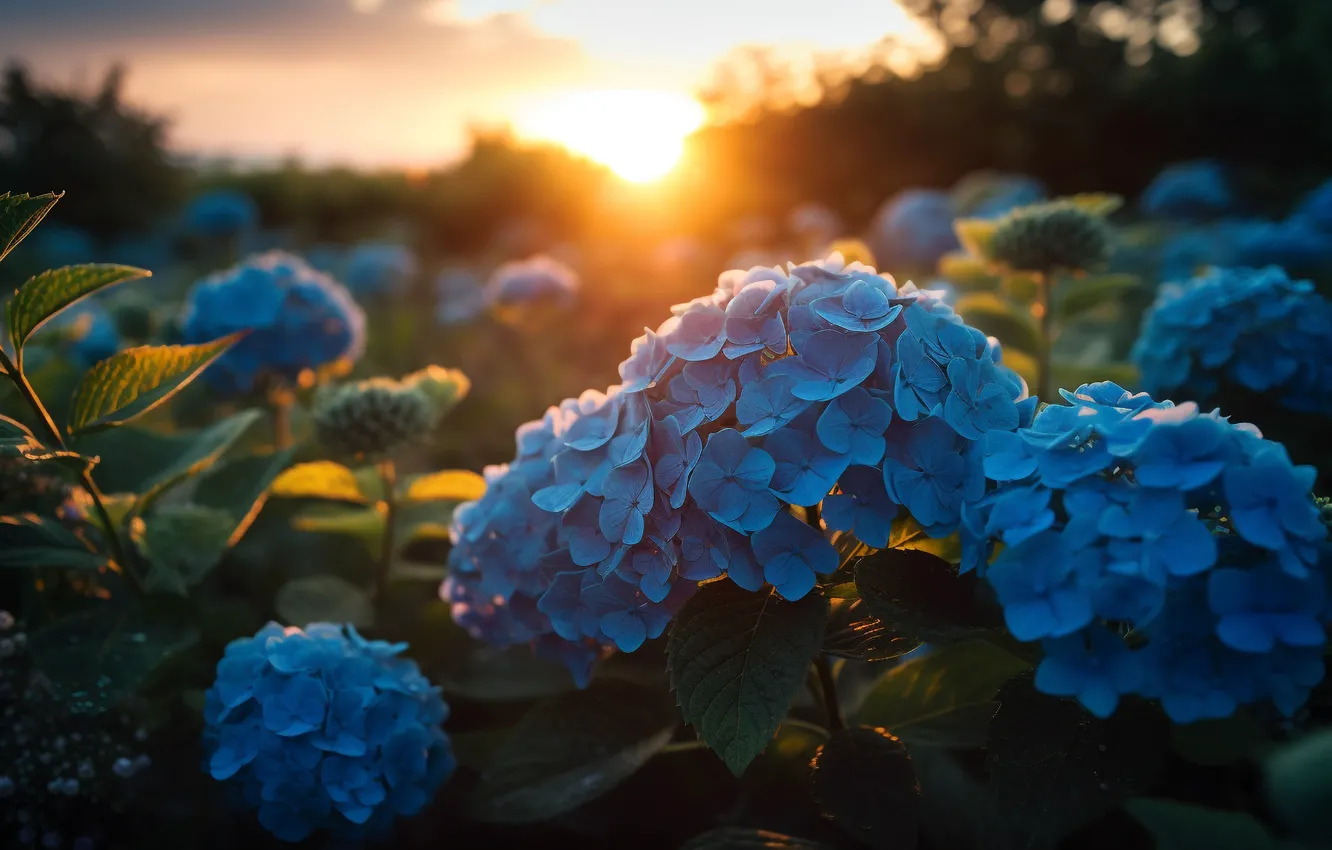 Photo wallpaper flowers, bouquet, hydrangea, AI art, neural network