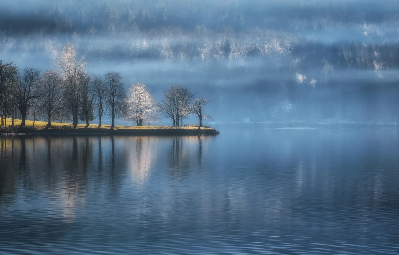 Photo wallpaper forest, water, trees, lake, Slovenia, Slovenia, Lake Bohinj, Bohinj lake