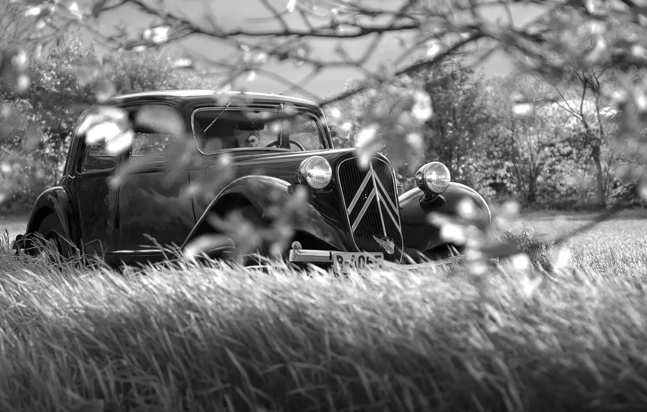 Photo wallpaper field, machine, style, color