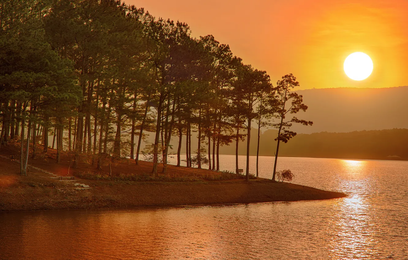 Photo wallpaper forest, the sun, sunset, pine, pond