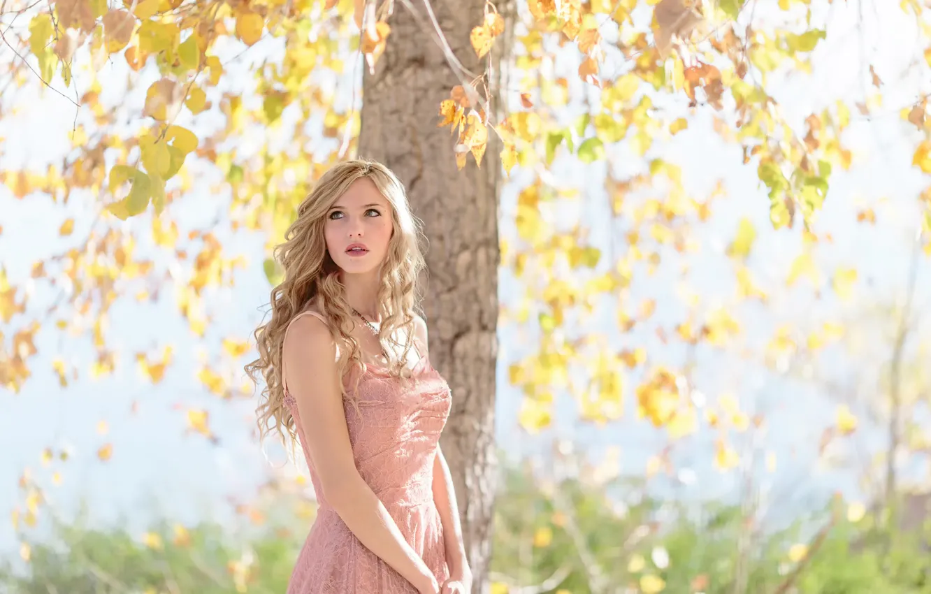 Photo wallpaper autumn, look, leaves, the sun, hair, dress, Mathew Irving