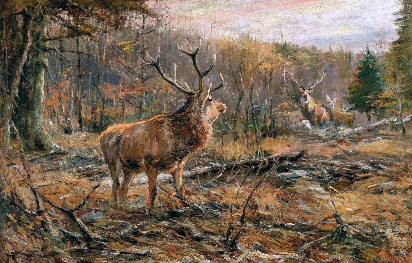 Photo wallpaper trees, picture, deer, horns, rivals, German artist, Wilhelm Lorenz, Wilhelm Lorenz