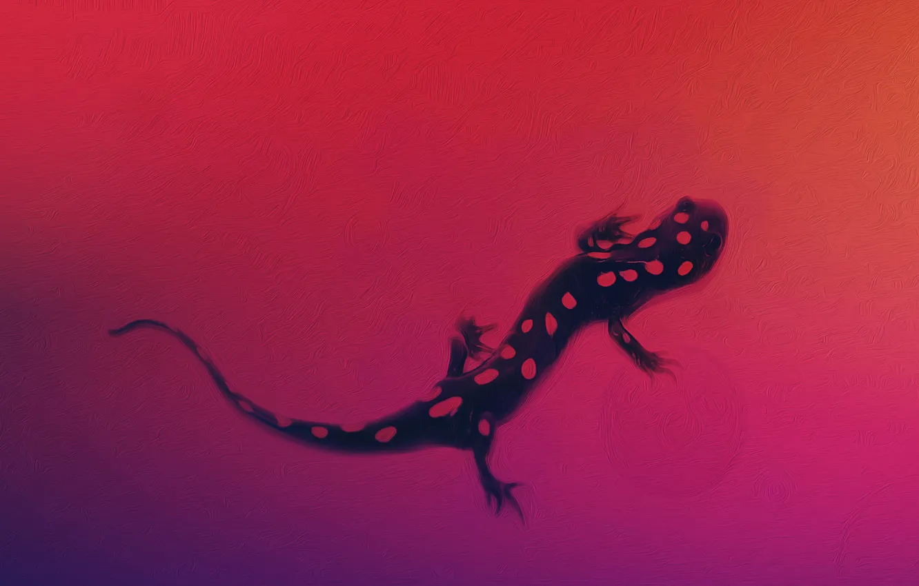 Photo wallpaper figure, minimalism, lizard