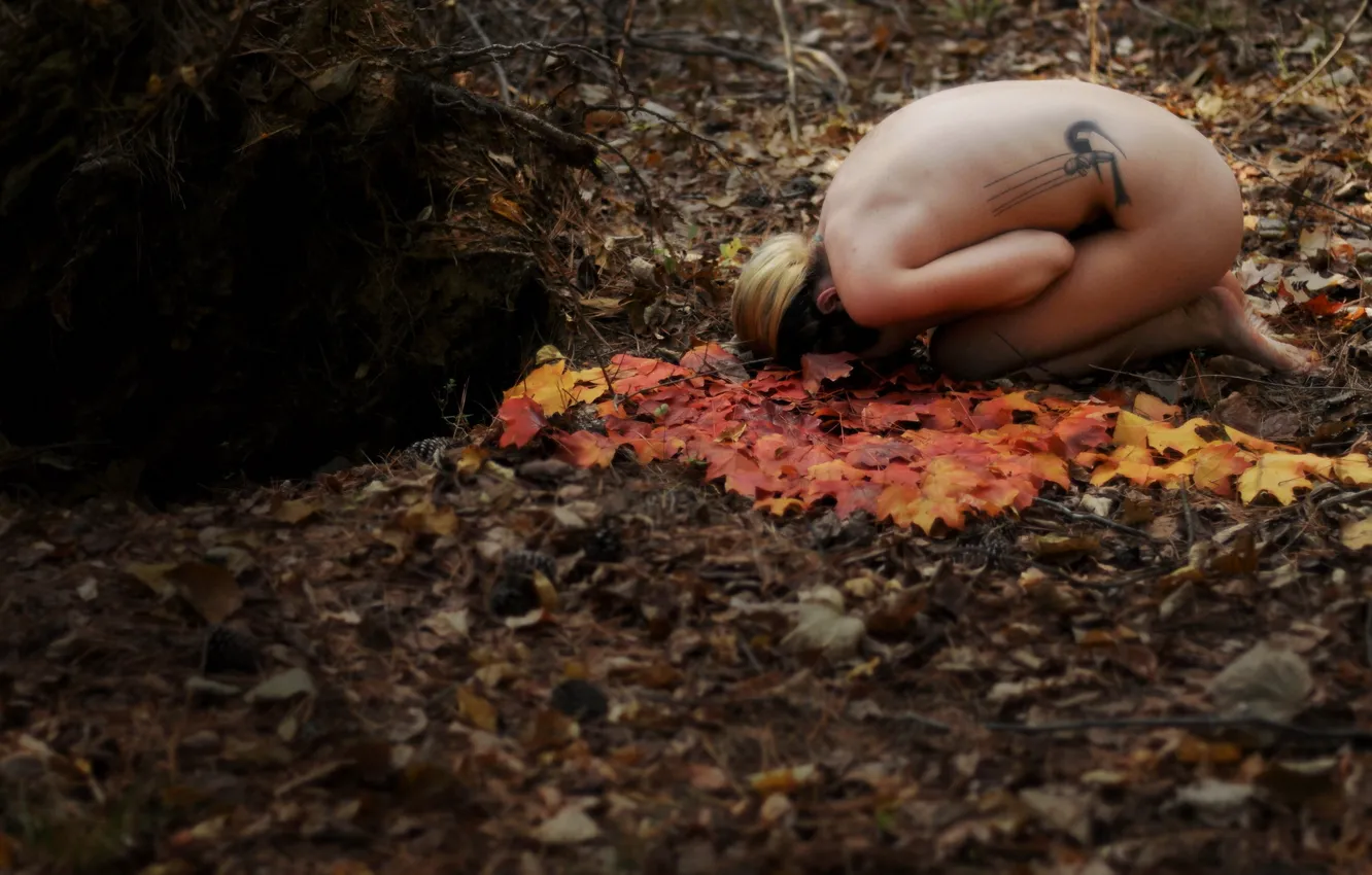 Photo wallpaper forest, girl, the situation