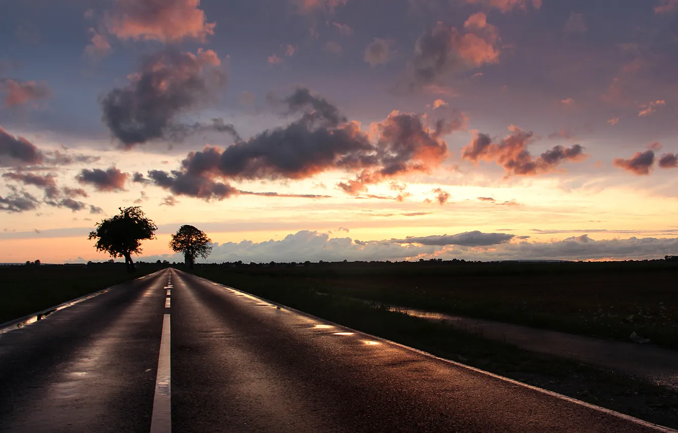 Photo wallpaper road, field, evening, after the rain