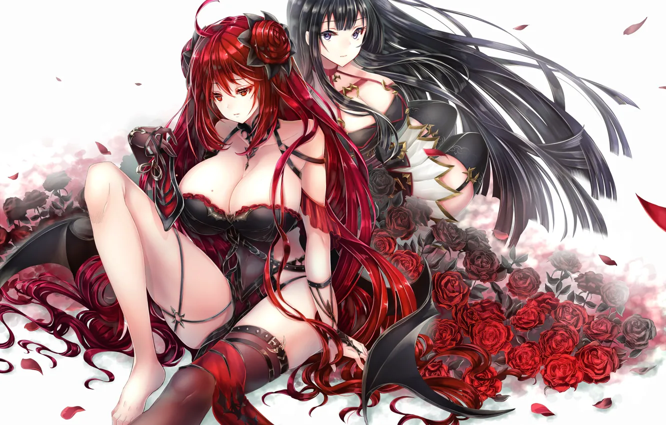 Photo wallpaper girl, two, roses, anime, King's Raid