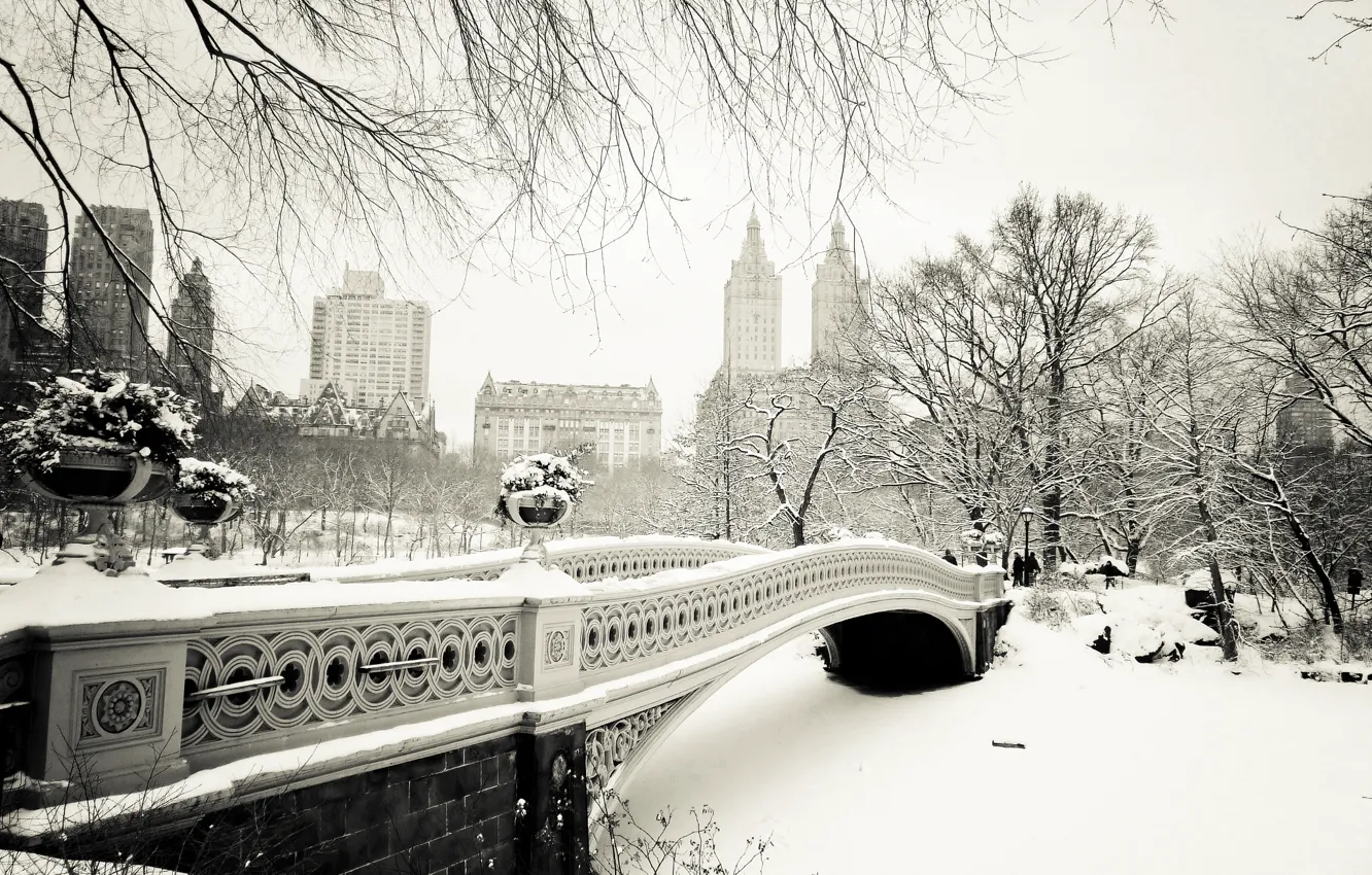 Photo wallpaper winter, snow, trees, nature, the city, New York, USA, USA