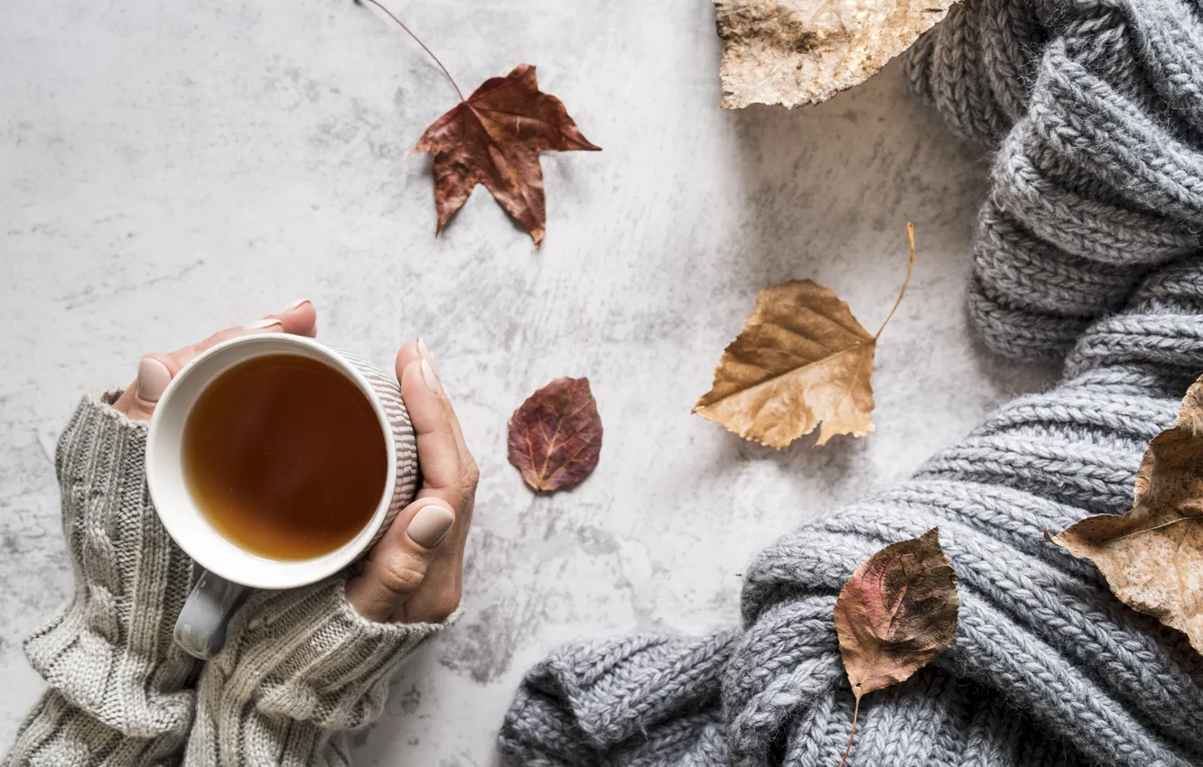 Photo wallpaper autumn, leaves, heat, tea, hands, autumn, knitting, knitted thing