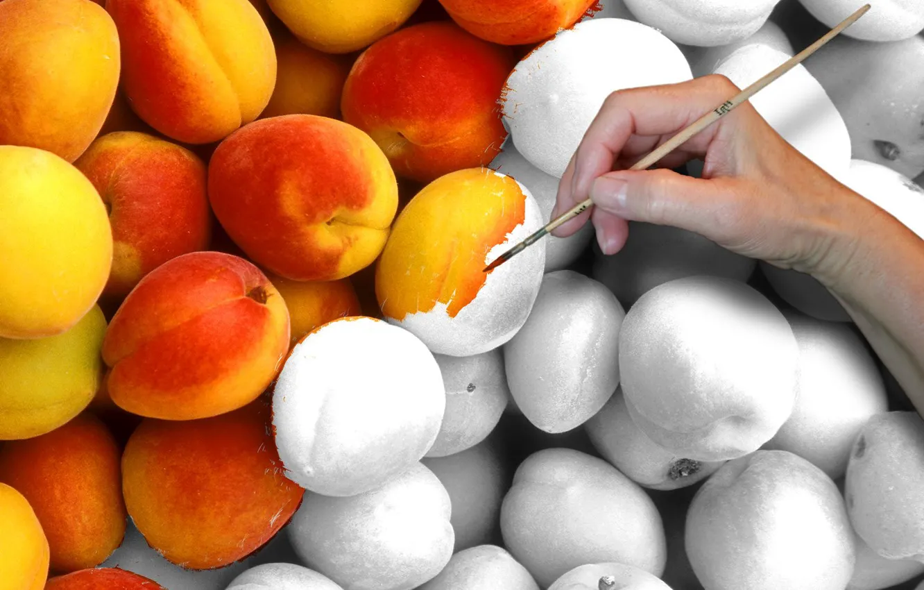 Photo wallpaper hand, peaches, brush