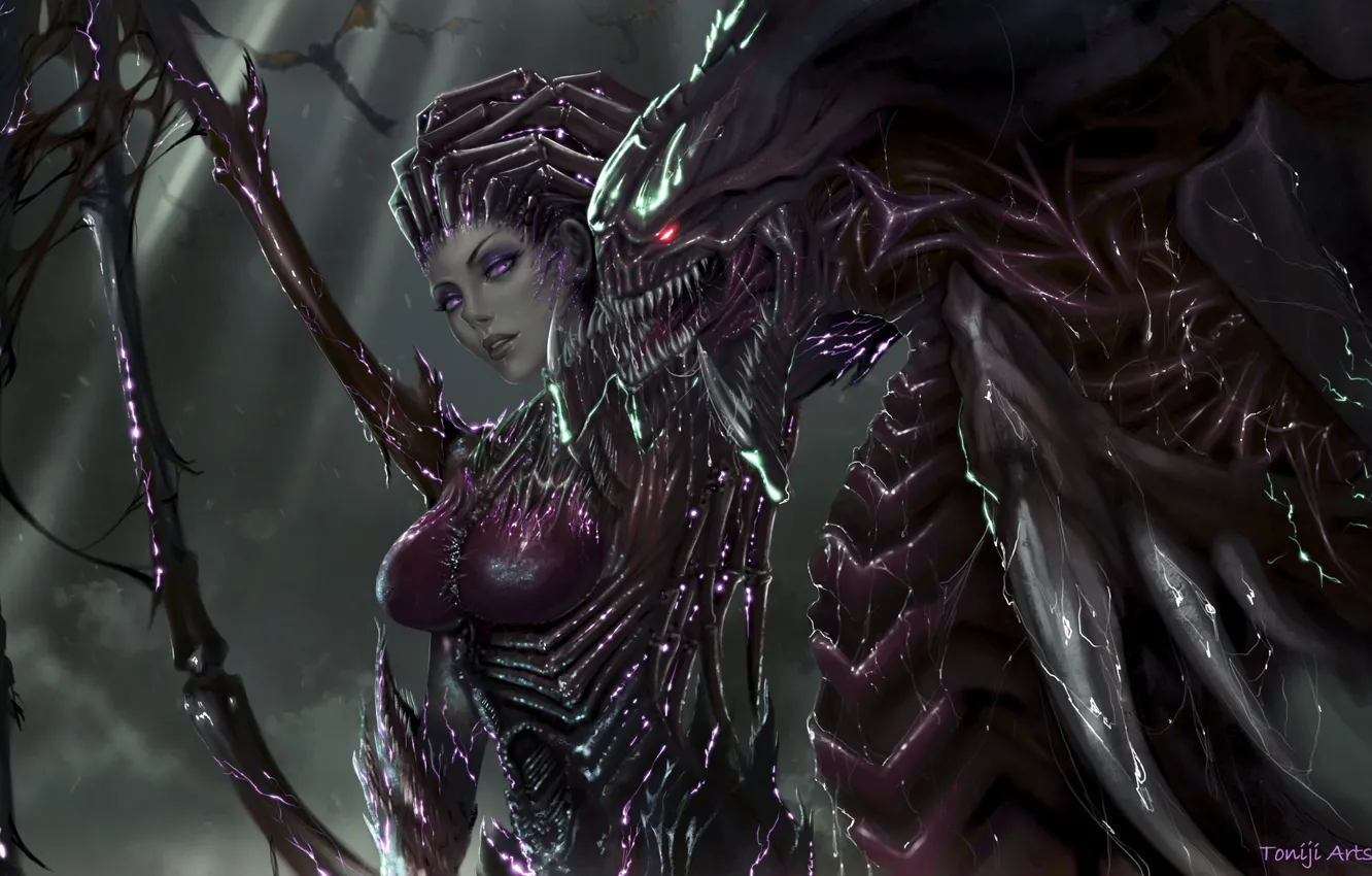 Photo wallpaper girl, style, fiction, the game, art, hero, starcraft, zerg