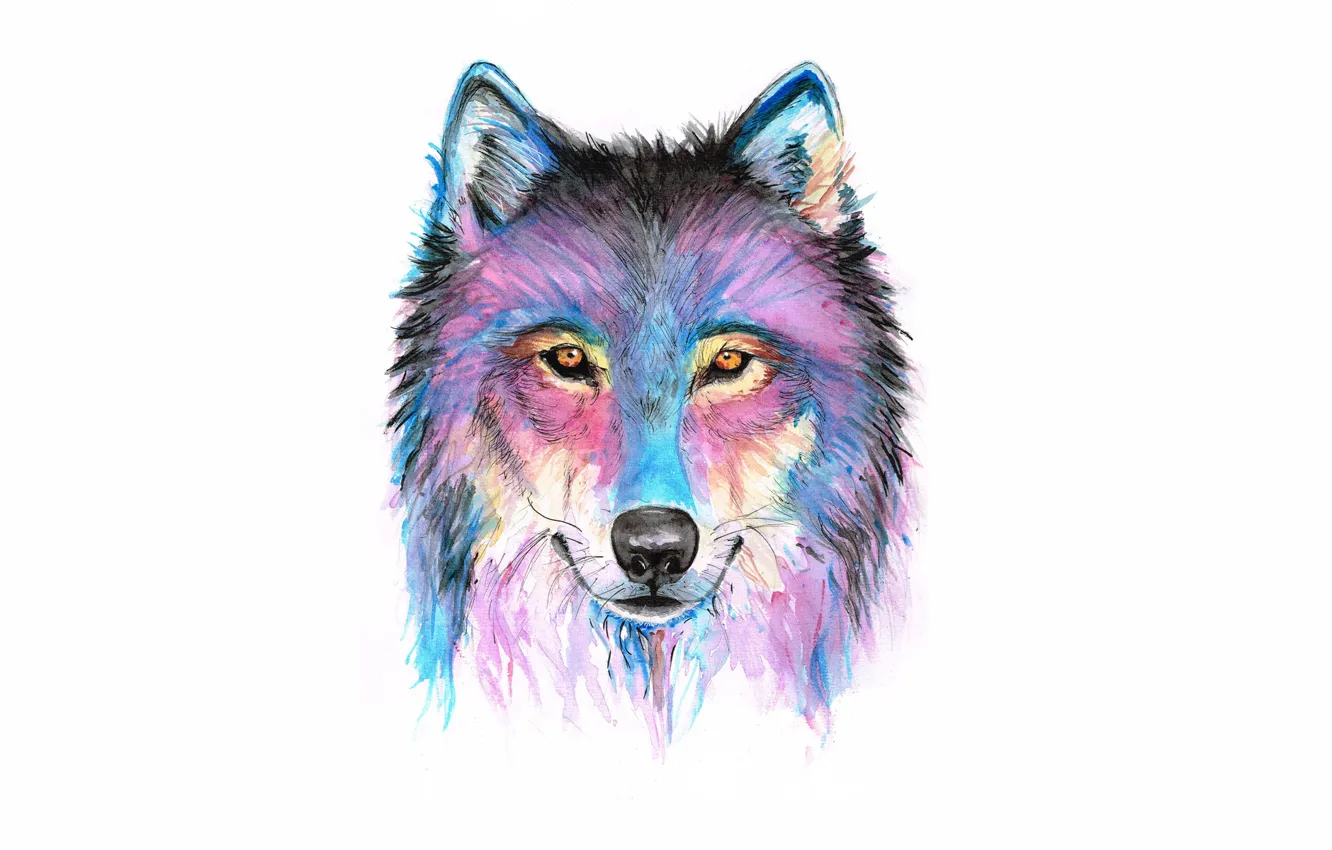 Photo wallpaper face, paint, wolf, wolf
