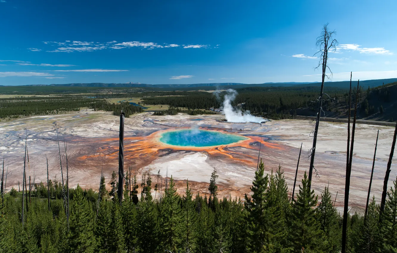 Photo wallpaper trees, panorama, Yellowstone National Park, Grand prismatic spring, Yellowstone, Grand Prismatic Spring