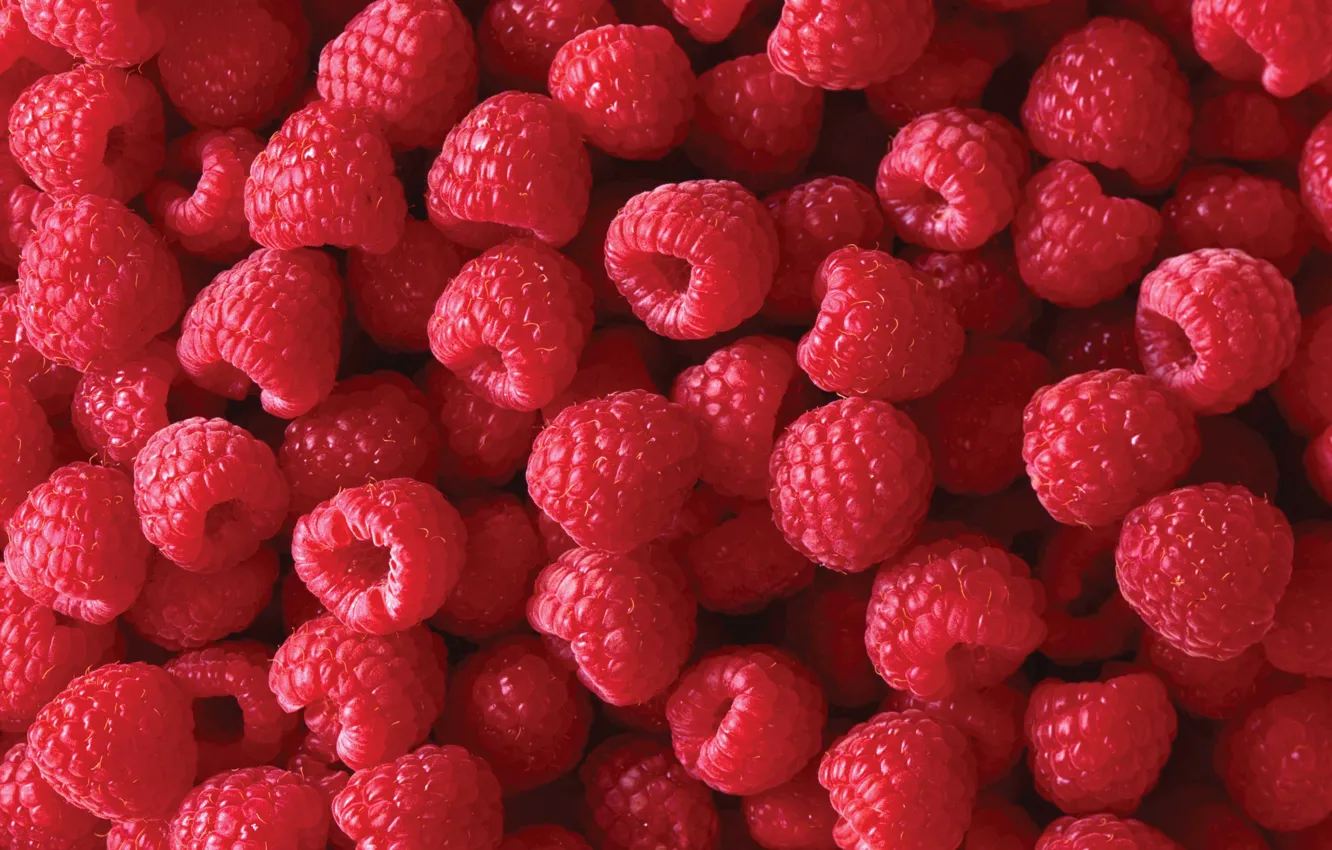 Photo wallpaper berries, raspberry, red, placer, a lot