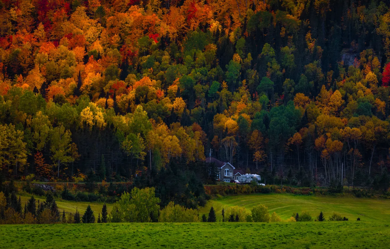 Photo wallpaper autumn, forest, trees, mountains, house, slope, house, mansion
