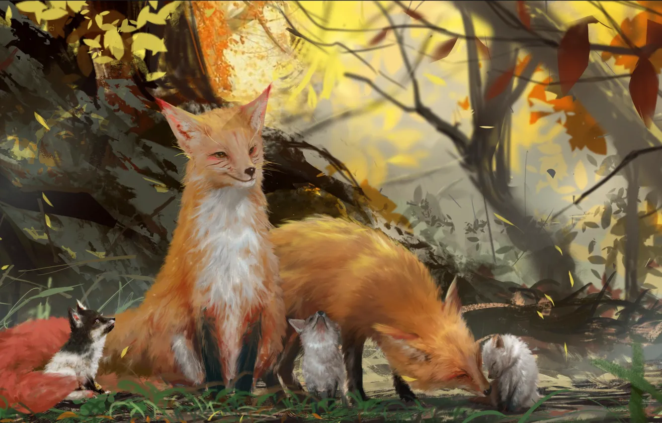Photo wallpaper autumn, forest, family, Fox