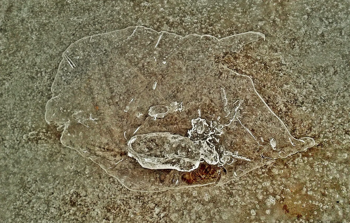 Photo wallpaper winter, January 2025, drawings on ice