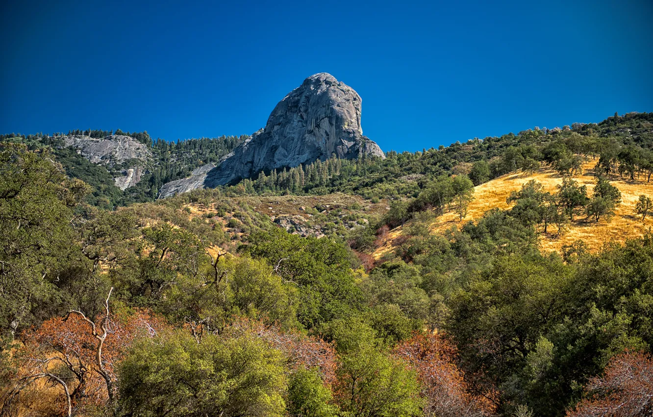 Photo wallpaper forest, the sky, the sun, trees, mountains, stones, rocks, USA