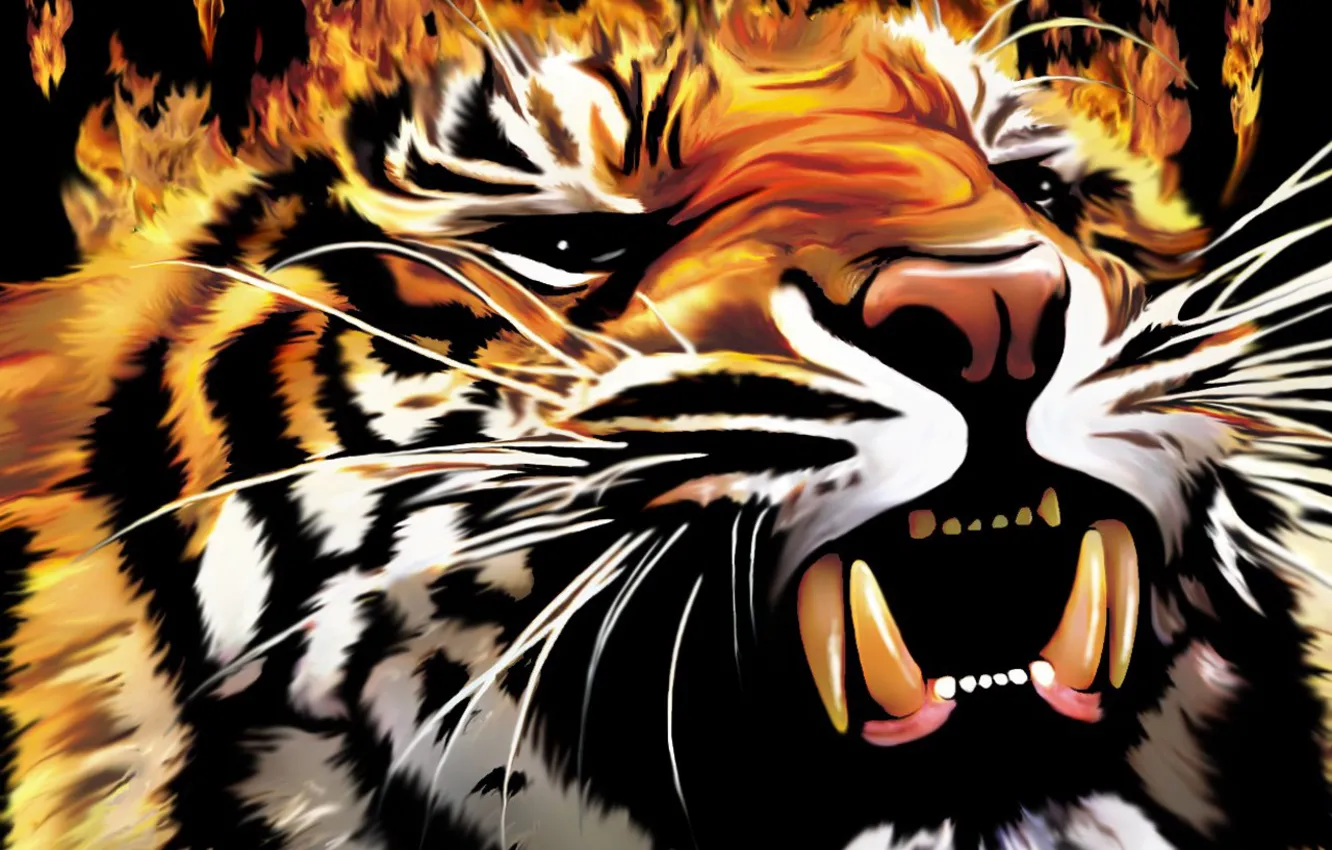 Photo wallpaper tiger, fire, flame, grin