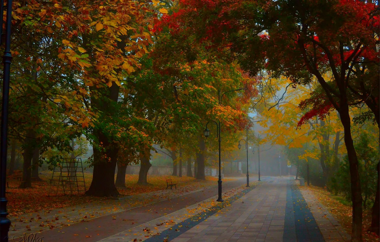 Photo wallpaper Fog, Autumn, Trees, Park, Fall, Park, Autumn