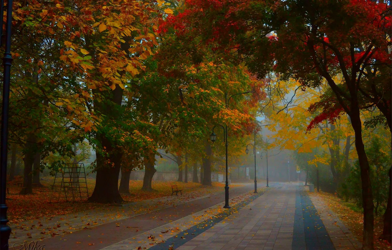 Photo wallpaper autumn, trees, fog, Park, park, autumn, fall