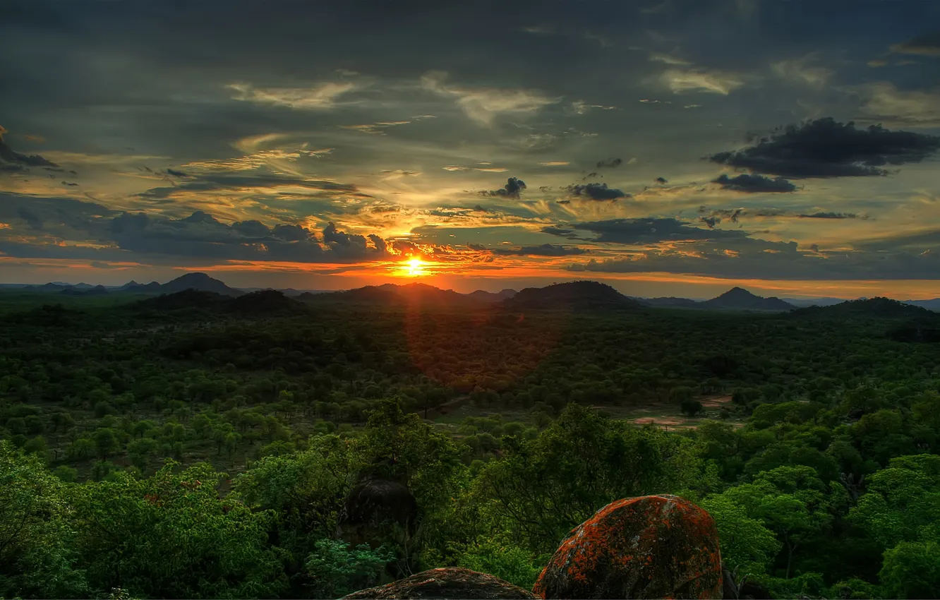 Photo wallpaper forest, sunset, sky, trees, sunset, the sun, African Sunset, zimbabwe