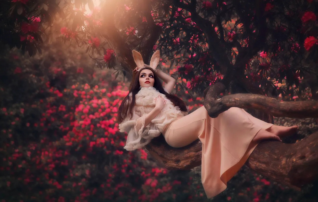 Photo wallpaper forest, girl, flowers, pose, mood, dress, ears, bokeh