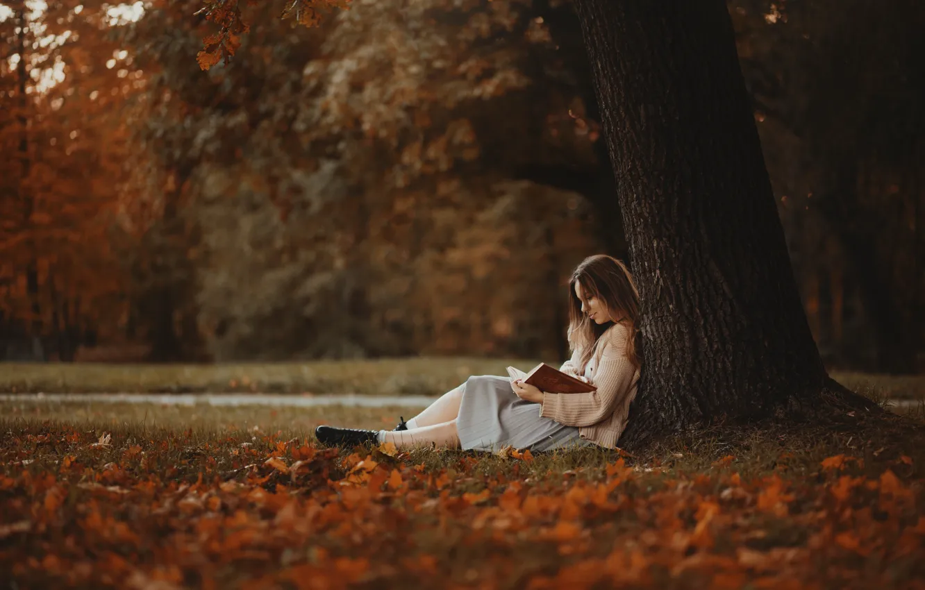 Photo wallpaper autumn, girl, Park, tree, book, reading