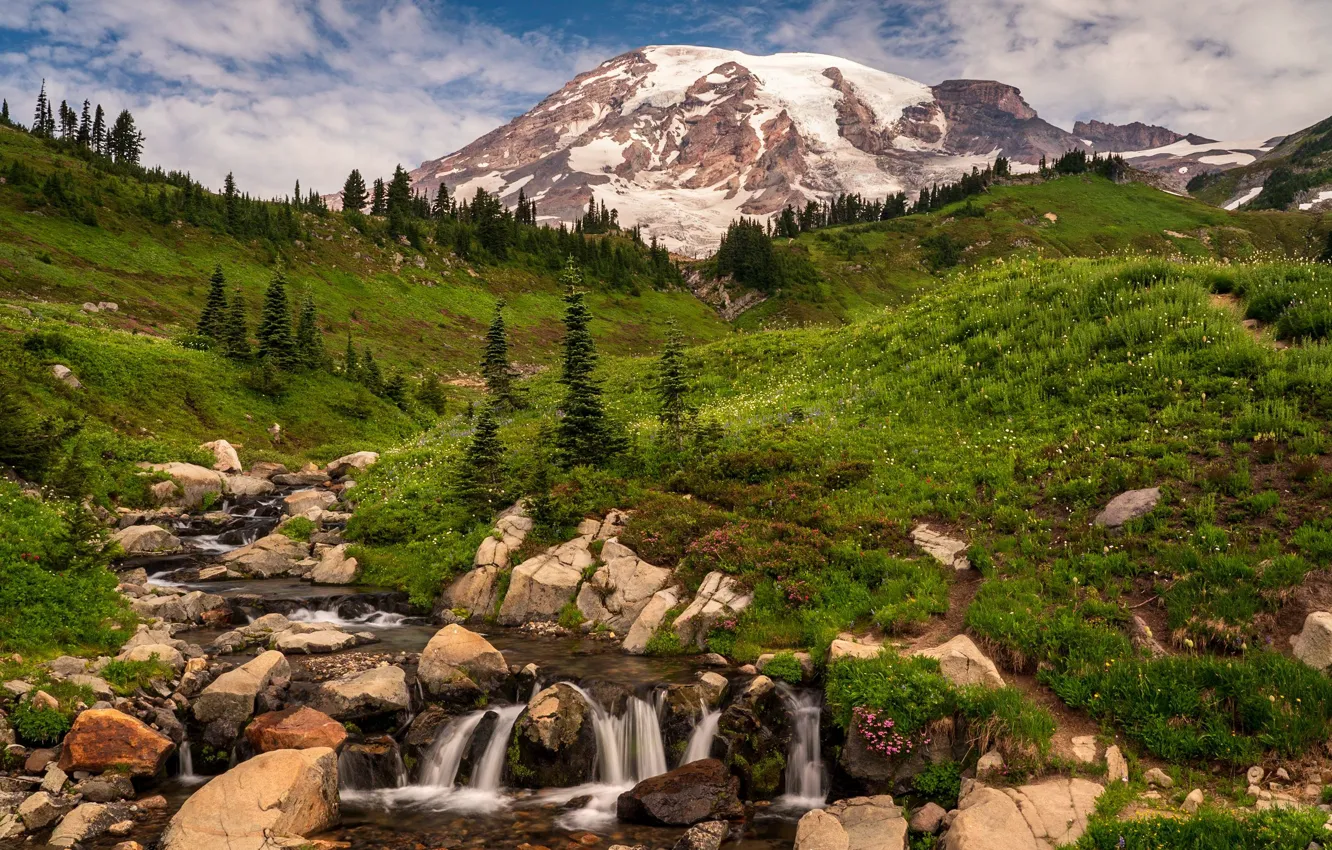 Photo wallpaper greens, forest, summer, grass, snow, mountains, stream, stones